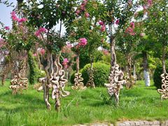 -武汉紫薇都市田园