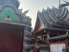 -西双版纳傣族园