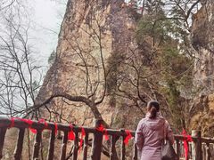 -塔云山