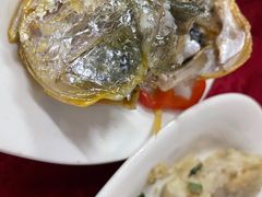 -蛇口康乐快餐鱼仔档(翠苑小区店)