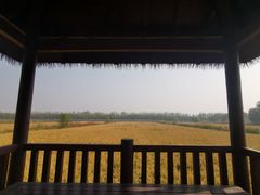 -西青郊野公园