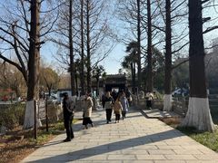 -包公祠