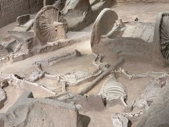 -洛阳周王城天子驾六博物馆