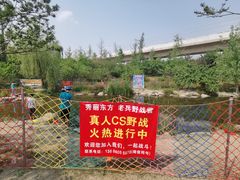 -秀丽东方