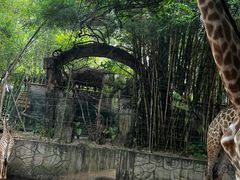 -长鹿旅游休博园