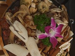 -一朵菌·野生菌探索家火锅(南亚店)