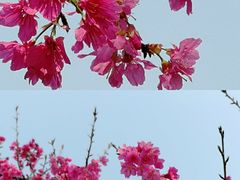-映月湖公园