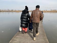 -盐城丹顶鹤湿地生态旅游区