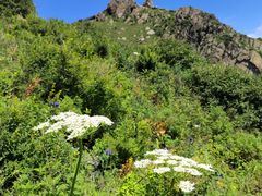 -白草畔自然风景区