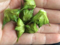 金牛山大酒店-金牛山大酒店(南北湖风景区店)