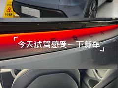 -TESLA 特斯拉(郑州正弘城体验店)