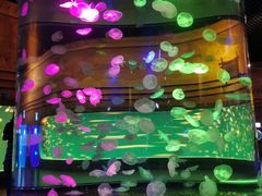 -华夏文旅西安度假区