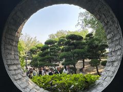 -朴园