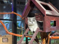 -酷嗒动物文化乐园(cutezoo西溪乐天城店)