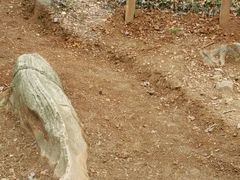 -南京金牛湖风景区