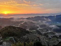 -紫鹊界梯田景区