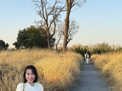 -汉长安城未央宫国家考古遗址公园