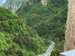 -王莽岭风景区