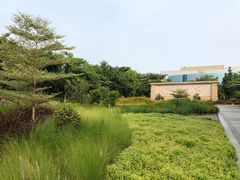 -映月湖公园