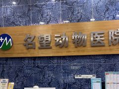 -瑞派名望24h动物医院异宠专科·猫专科·骨科·重症监护分院