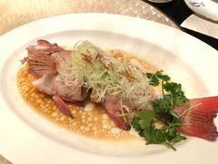 -8餐厅(新葡京酒店)