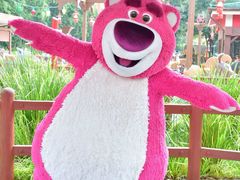 -上海迪士尼度假区