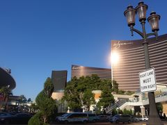 -拉斯维加斯永利酒店