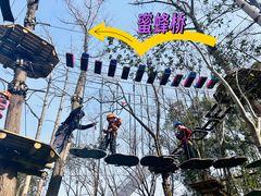 -昆山城市生态森林公园