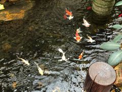 大堂-龙源九号花园酒店(叶埠桥店)