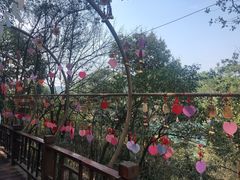 -石燕湖生态旅游景区