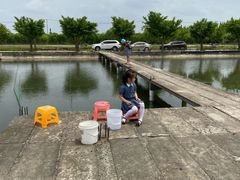 -前小桔亲子创意农场·草莓采摘·露营烧烤
