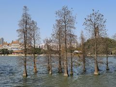 -顺峰山公园