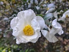 -中国茶叶博物馆(双峰馆区)