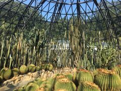-深圳仙湖植物园