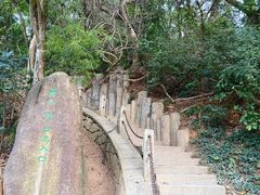 -梧桐山风景名胜区