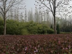 -北极寺公园