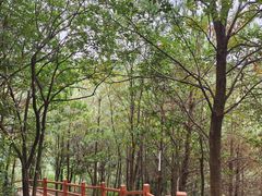 -广州白江湖森林公园