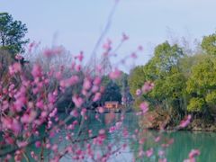 -西溪国家湿地公园