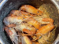 -百家班(市府店)