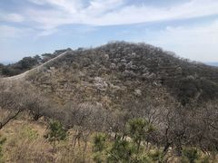 -北京西山国家森林公园