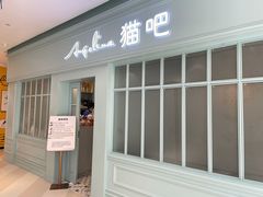 门面-安格丽娜·狗咖·猫咖羊驼咖(春熙路百盛商场店)
