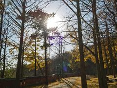 -阳台山自然风景区