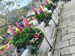 -苏州上方山国家森林公园