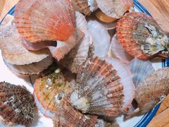 蒸海鲜-77号渔船·蒸海鲜青岛菜(积米崖店)