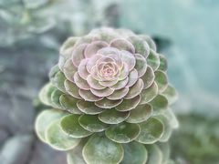 -华南国家植物园-售票处