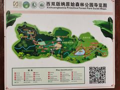 -西双版纳原始森林公园