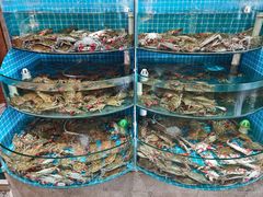-蓝珊甄选海鲜自助·火锅大排档(近阿那亚店)
