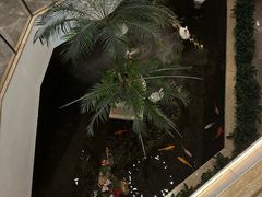 -广州白天鹅宾馆