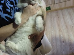 -白兔子密室(长寿路店)