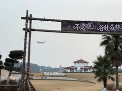 -空港花田景区